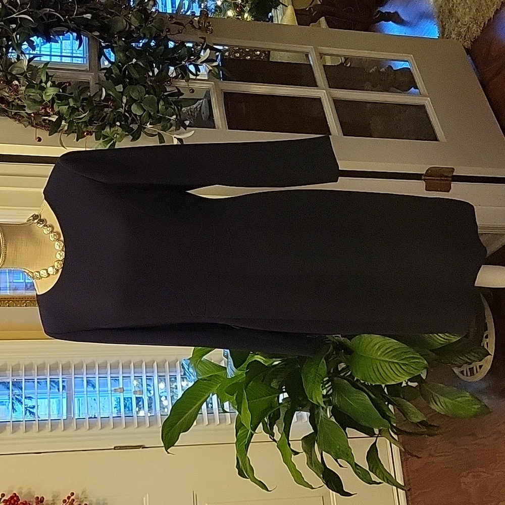 Anne Klein Little Black Dress Fitted Long sleeve Round neck fully lined 8 EUC…